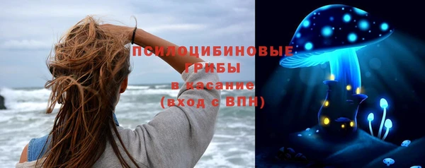 apvp Пенза