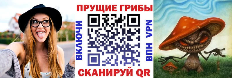 Псилоцибиновые грибы Magic Shrooms  цена наркотик  Борзя 