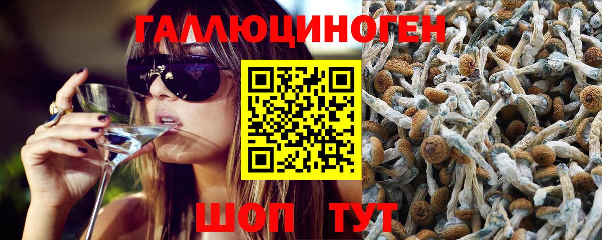 Борзя  Галлюциногенные грибы мухоморы  Вход с VPN 