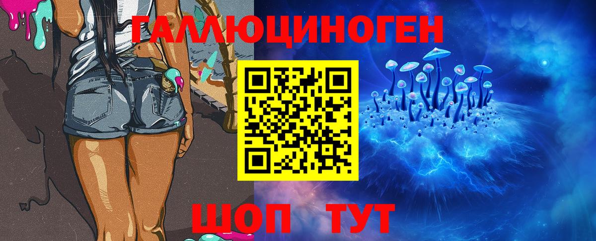 Галлюциногенные грибы Psilocybe Борзя