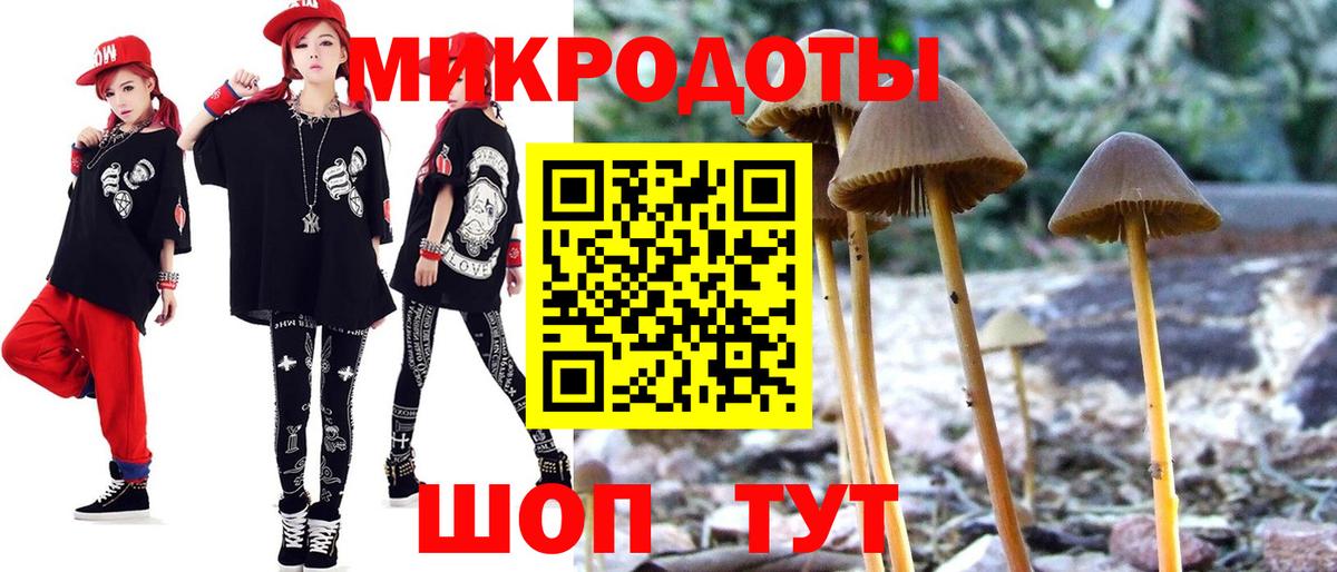 Галлюциногенные грибы Psilocybine cubensis Борзя